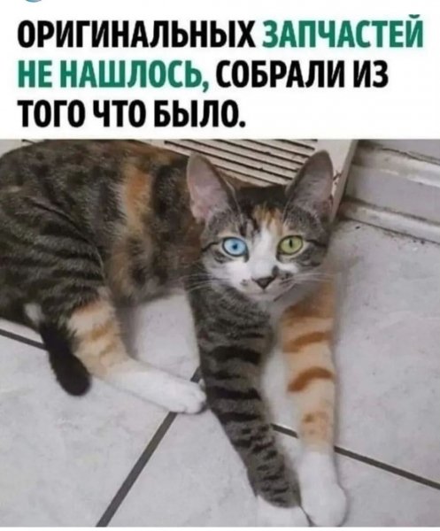 IMG 20260812 212334 774