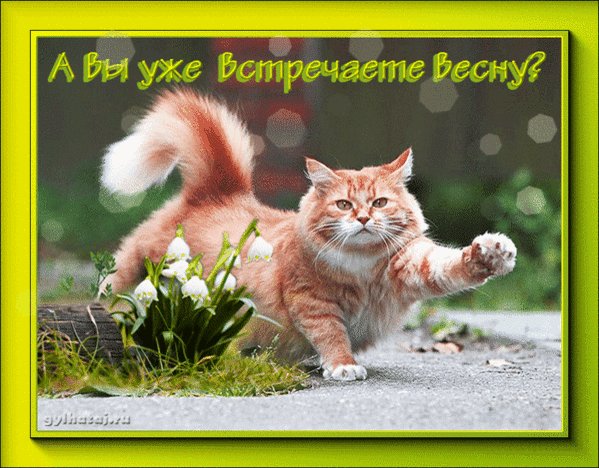 Анимированная открытка в вы уже встречаете