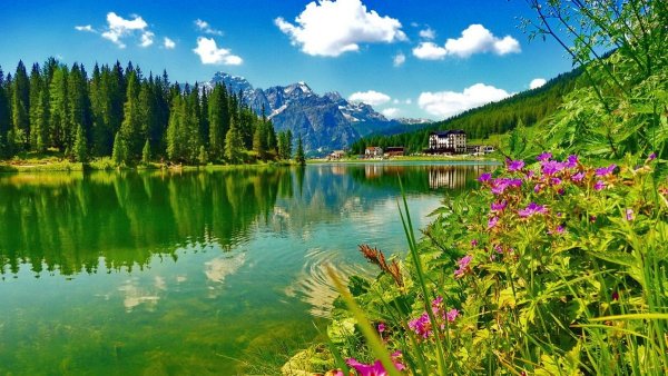 Красивая природа