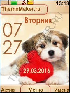 17 timmi