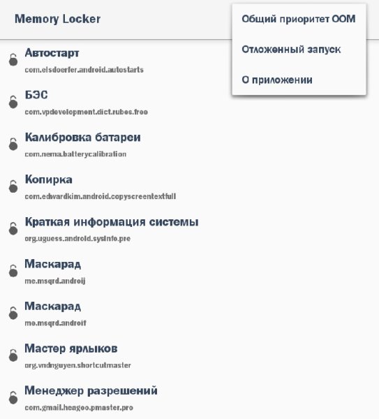 Memory Locker Premium 3.1.0
