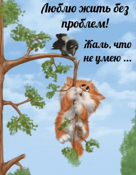 КотЭ)