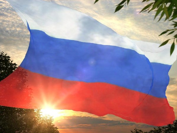Flag.1.0.0.7.x86.x64