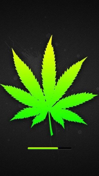nsplasht ganja