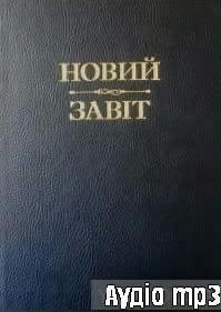 Б 01-Матвій