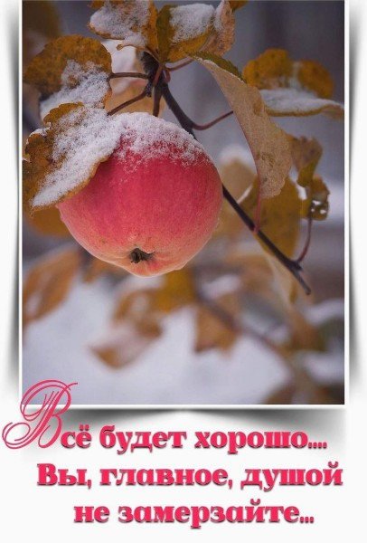file_95103556