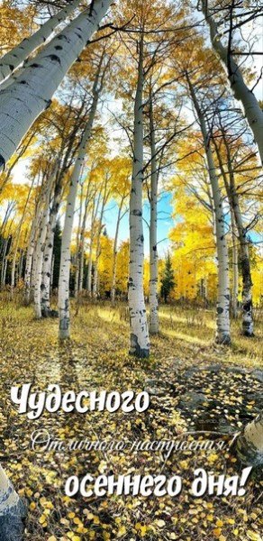 file_94824237
