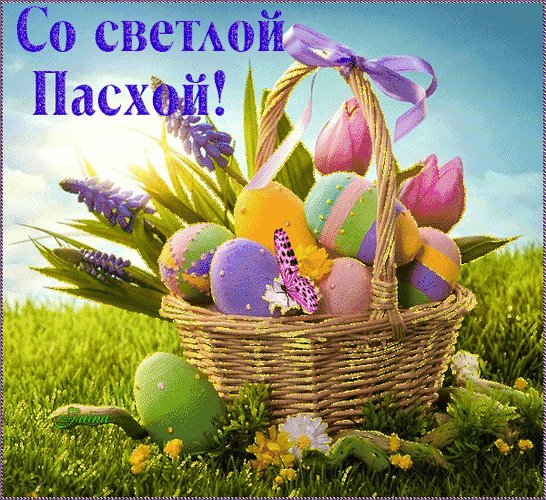 IMG 20220501 203138