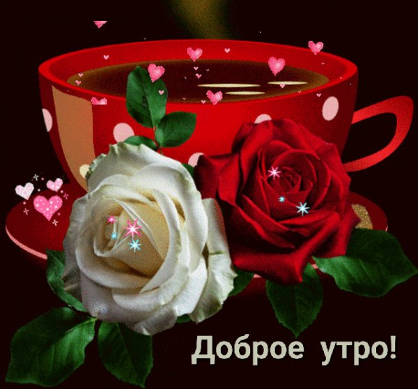 Доброе утро!
