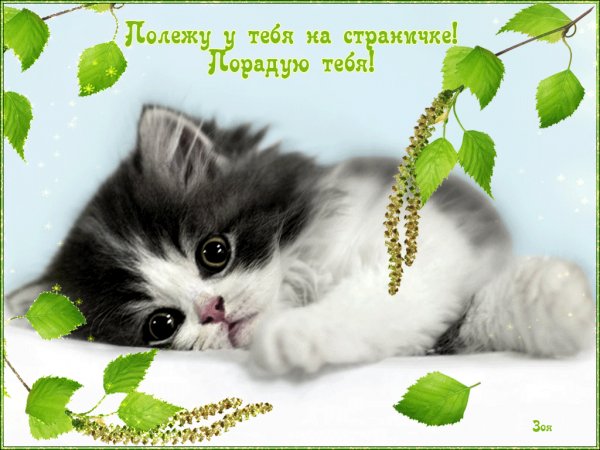 Полежу у тебя на страничке,порадую тебя!