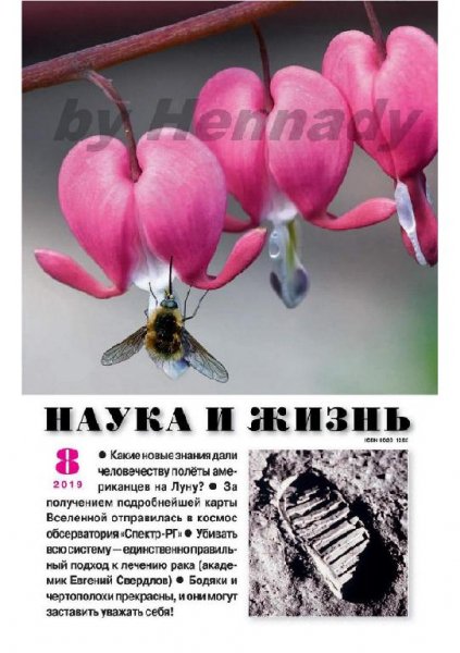 08-2019 Наука и Жизнь