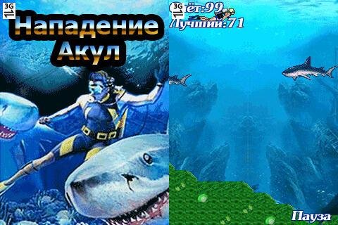SharkAttack 320x240