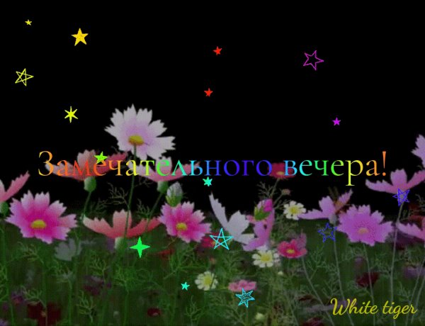 Замечательного вечера