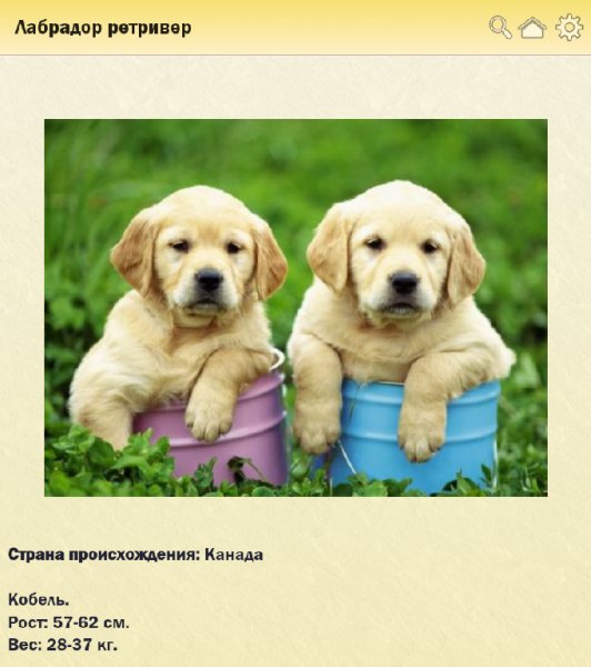 Породы собак 1.0
