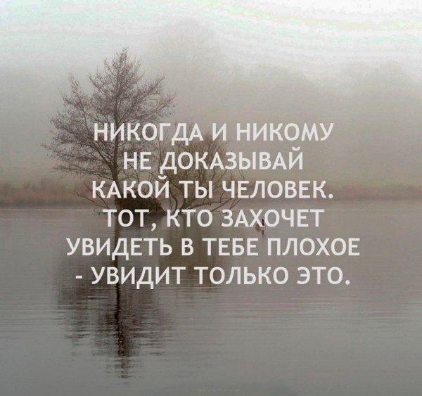 Не доказывай