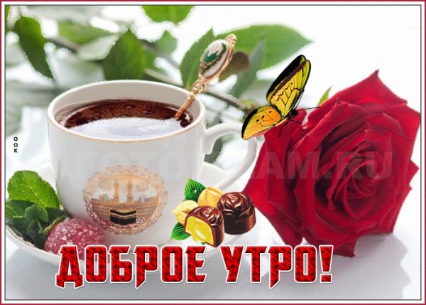 file_98786921