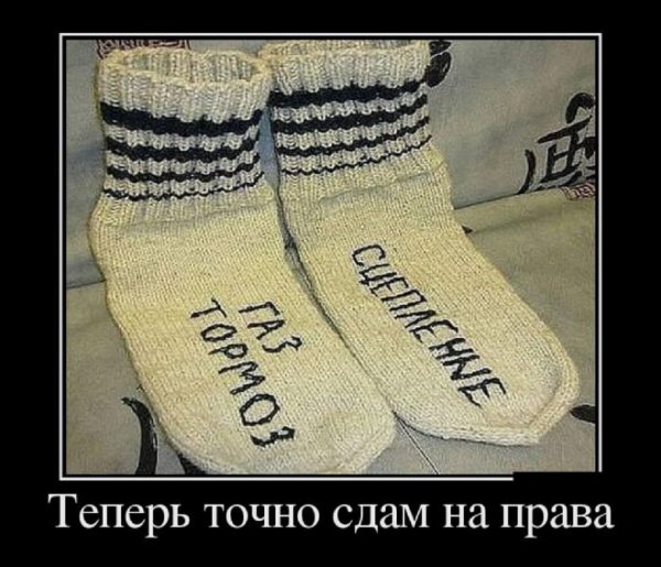 Теперь точно сдам на права