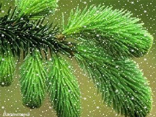 file_63125796