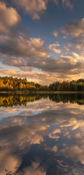 file_102293221