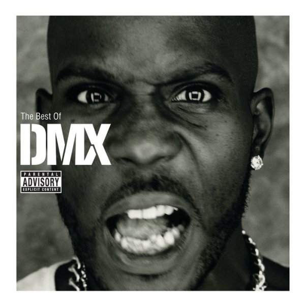 DMX - Party Up (Up In Here)