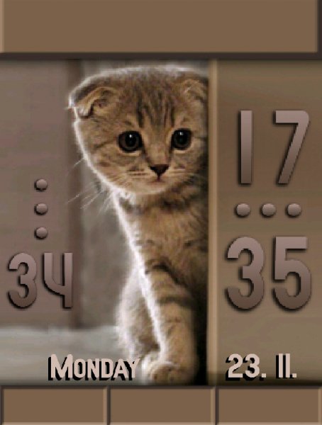 Котенок