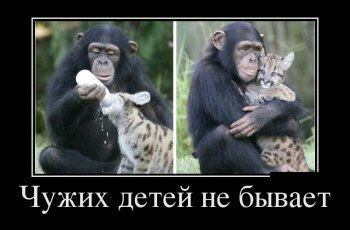 file_69571274