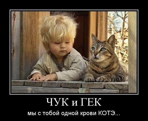 ЧУК и ГЕК