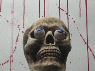 Череп