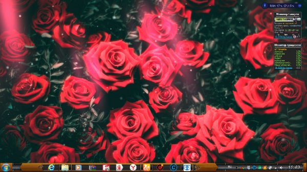 Winter Roses