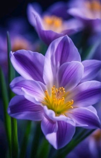 file_96269923