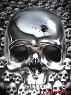 silver skull