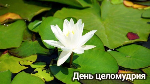 file_94783334