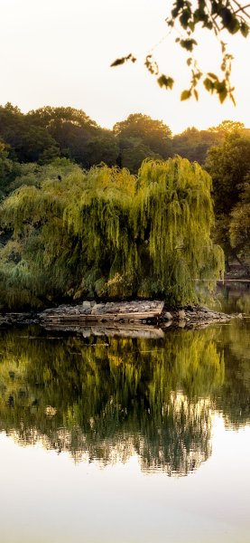 file_100805889