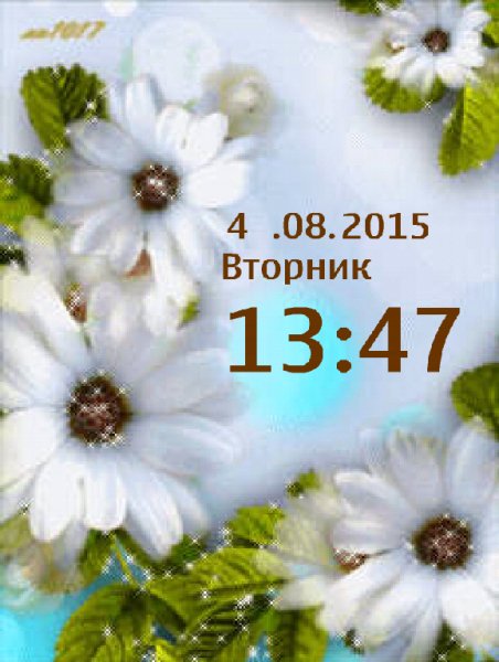 Ромашки