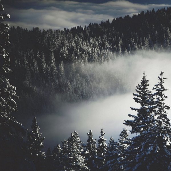 Dark Winter