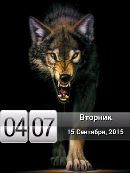 Волк