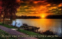 Тёплой ночи