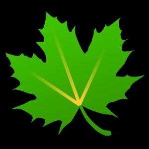 Greenify Donate v2.9-Beta6