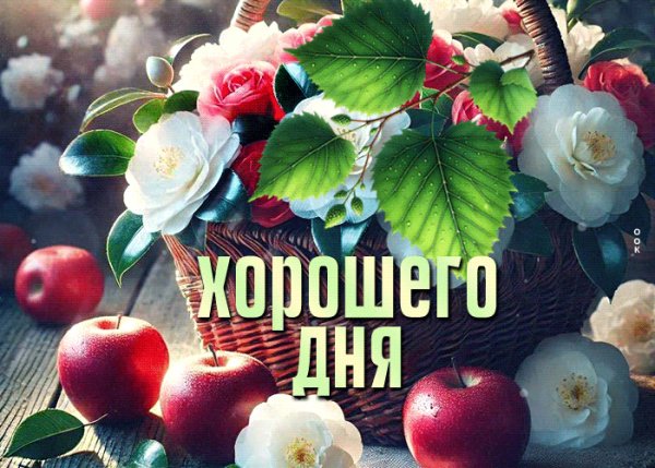 file_102361024