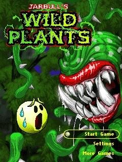 Wild Plants 176x208