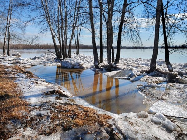 ВЕСНА. Половодье.