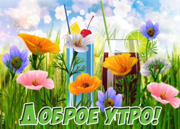 file_100528726