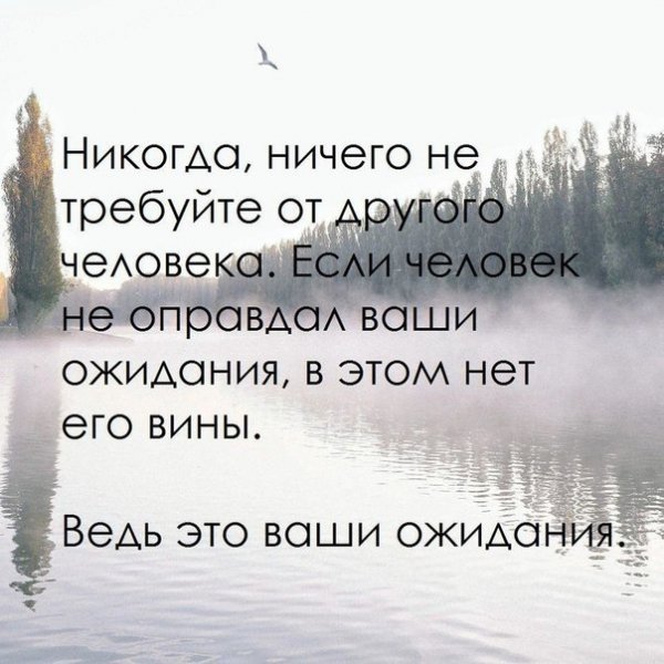 Ваши ожидания