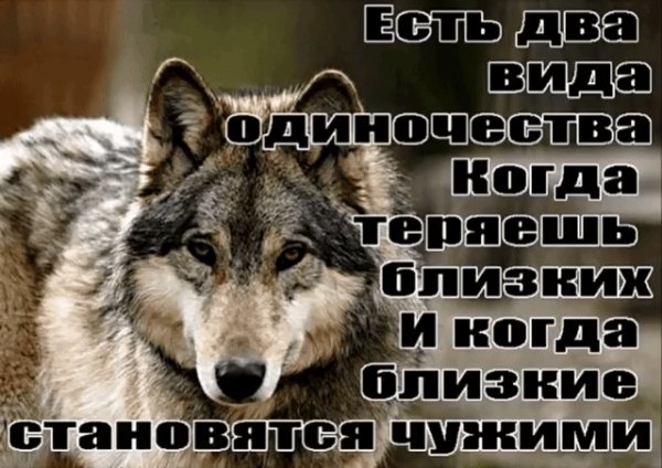 IMG 20211016 071103