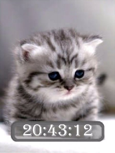 Котя