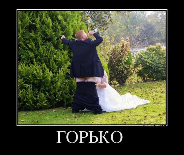 gorko