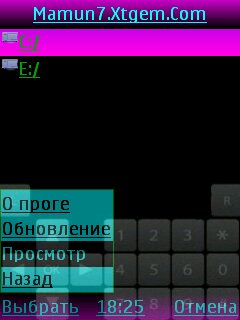 NoIPNoPortEmbedder