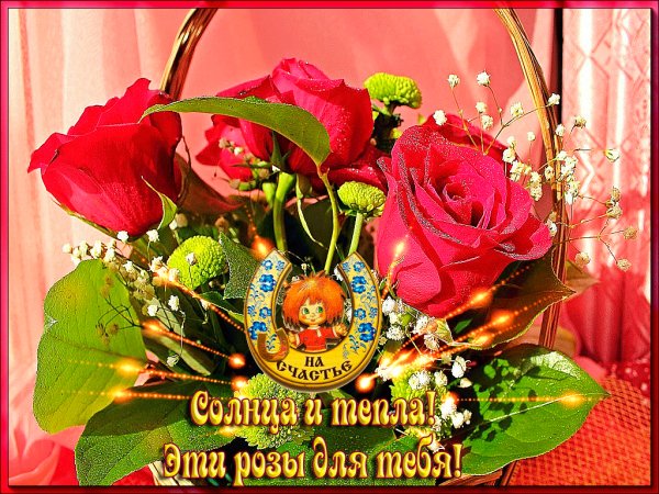 Розы для тебя на счастье!