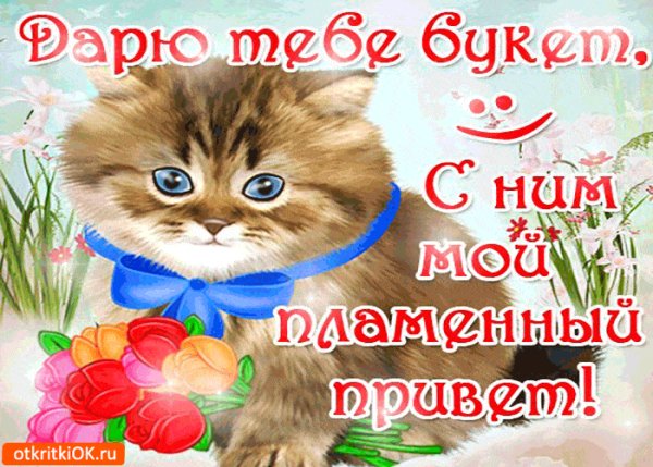plamennyj-privet-a-vmeste-s-nim-buket