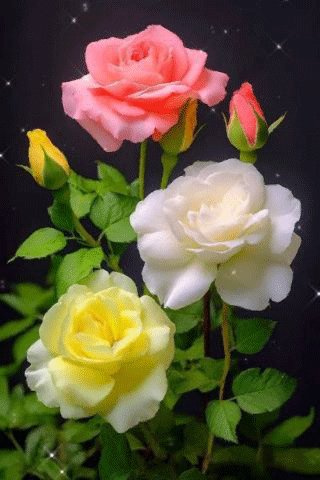 file_97666116